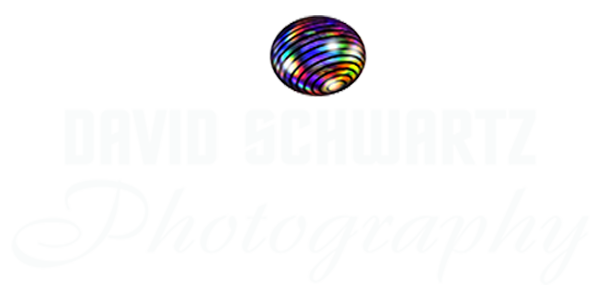 DavidSchwartz logo